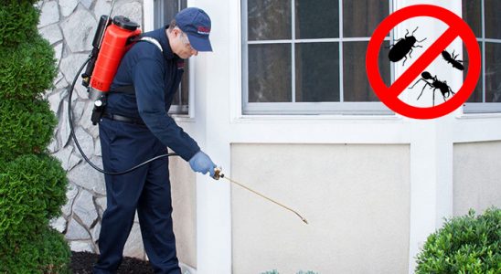 Konyaaltı Böcek İlaçlama böcek ilaçlama ve haşere kontrolü — ilaclama-tr.com